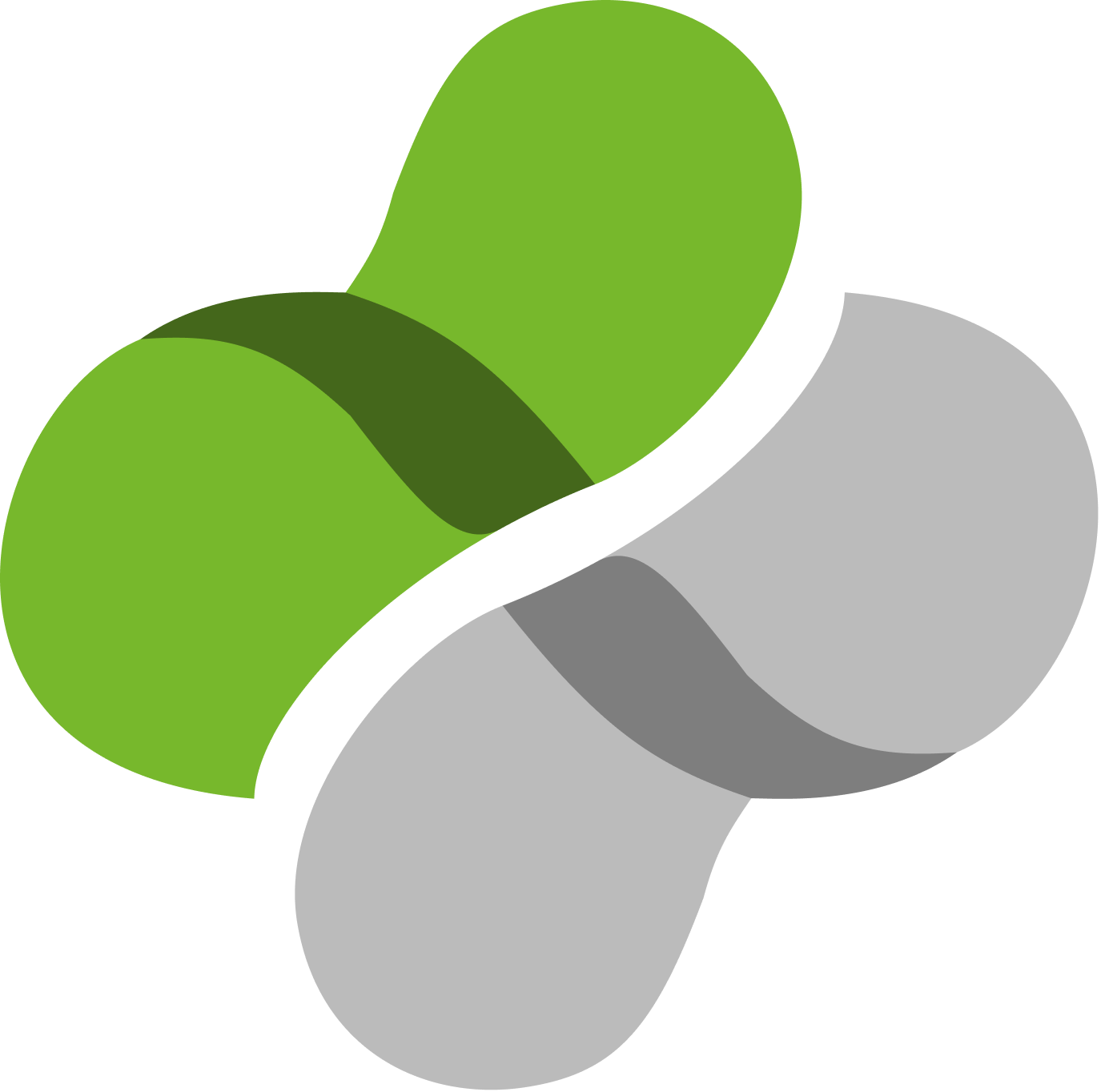 Pragma Medical logo